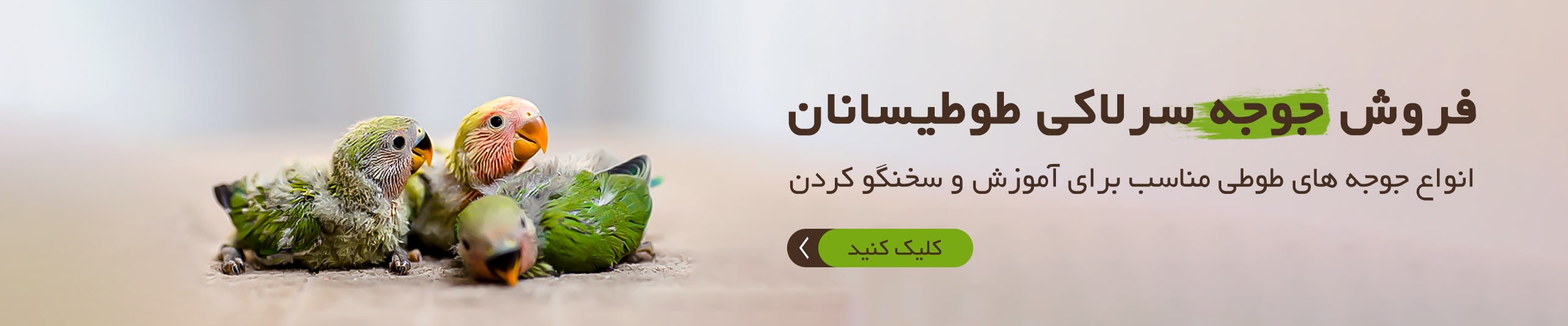 اسلایدر سوم