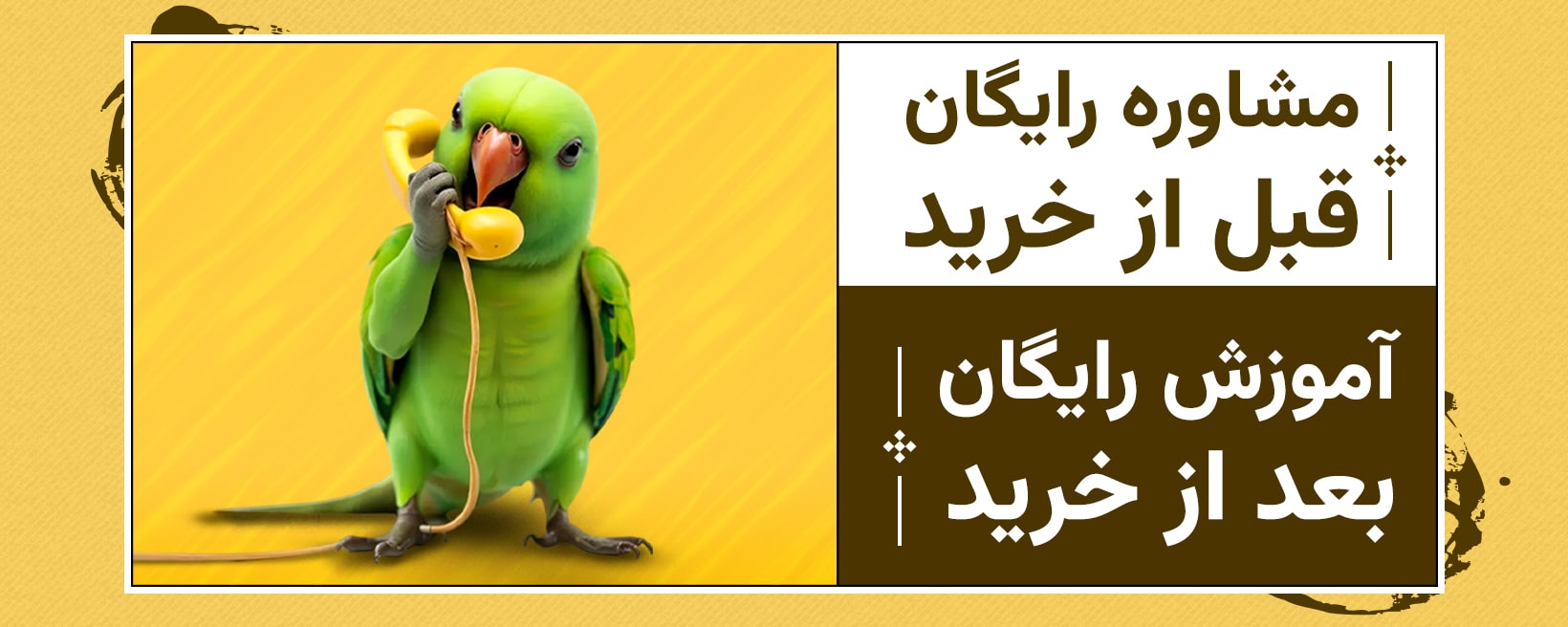 بنر دوتایی پایین