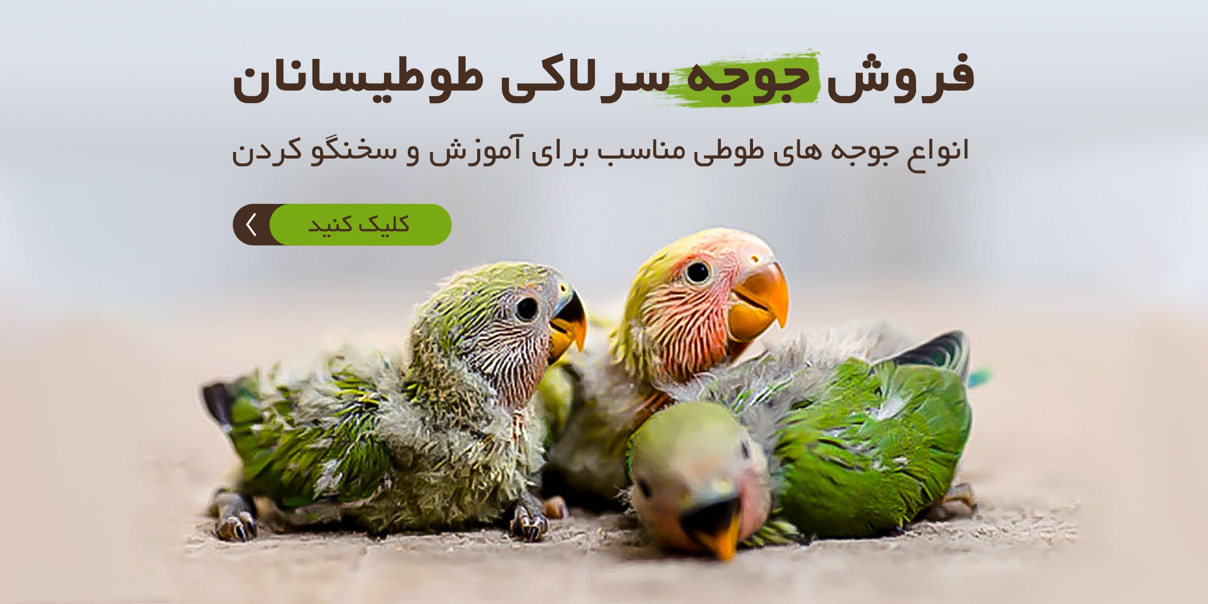 اسلایدر سوم