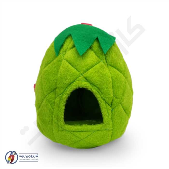 مخفیگاه آناناسی