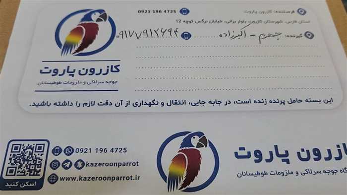 ارسال جوجه طوطی گرینچیک به جهرم
