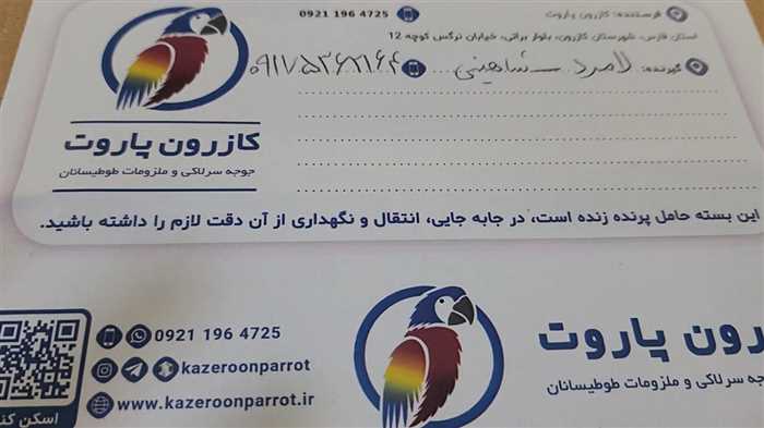 ارسال جوجه طوطی گرینچیک به لامرد