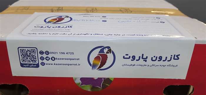 ارسال جوجه طوطی راهب به شیراز