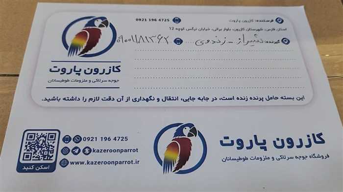 ارسال جوجه طوطی راهب به شیراز