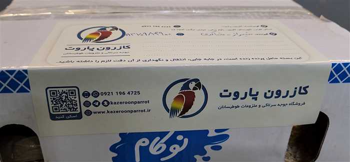 ارسال جوجه طوطی راهب به شیراز