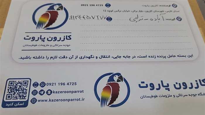 ارسال جوجه طوطی گرینچیک به آباده